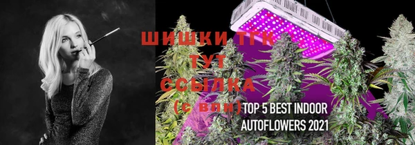 винт Алексеевка