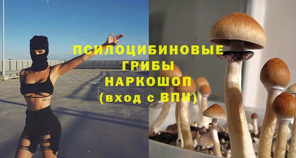 винт Алексеевка