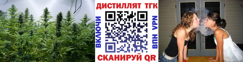 ТГК концентрат  Камызяк 